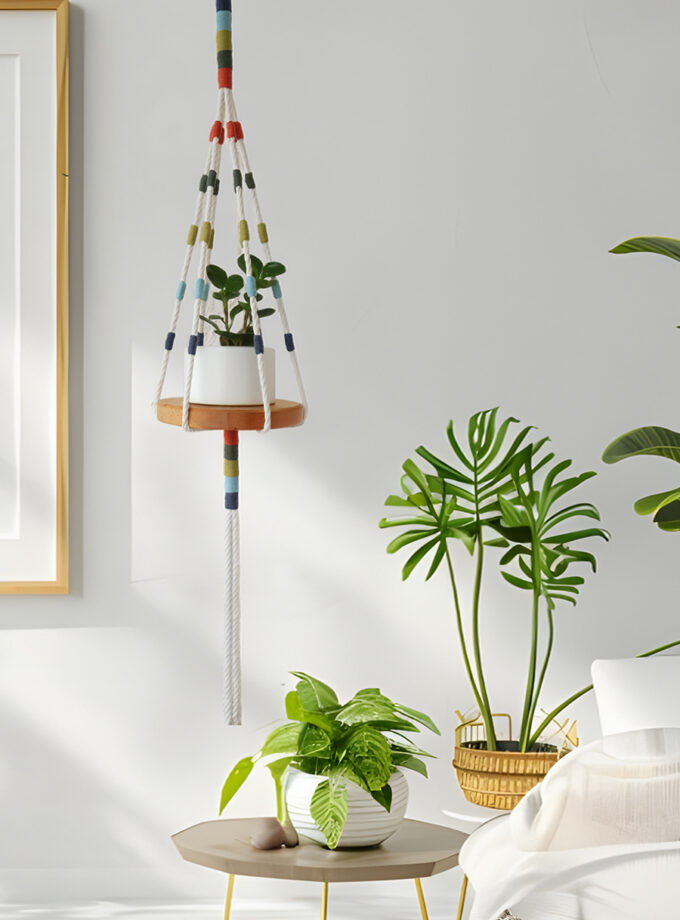 Macetero Pino Colorin colgado en una habitación al lado de plantas